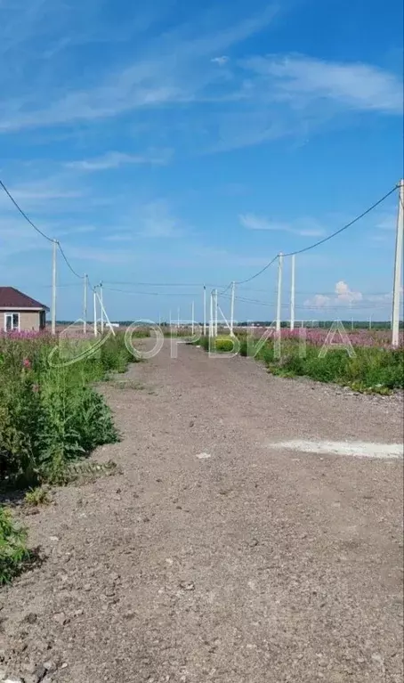 Участок в Тюменская область, Тюменский район, д. Малиновка  (5.0 сот.) - Фото 1