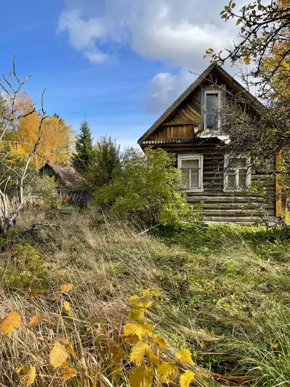 Дом в Ленинградская область, Лужский район, пос. Мшинская ул. ... - Фото 1