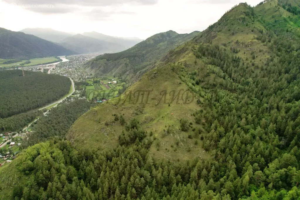 Участок в Чемальский район, село Чемал (3 м) - Фото 0