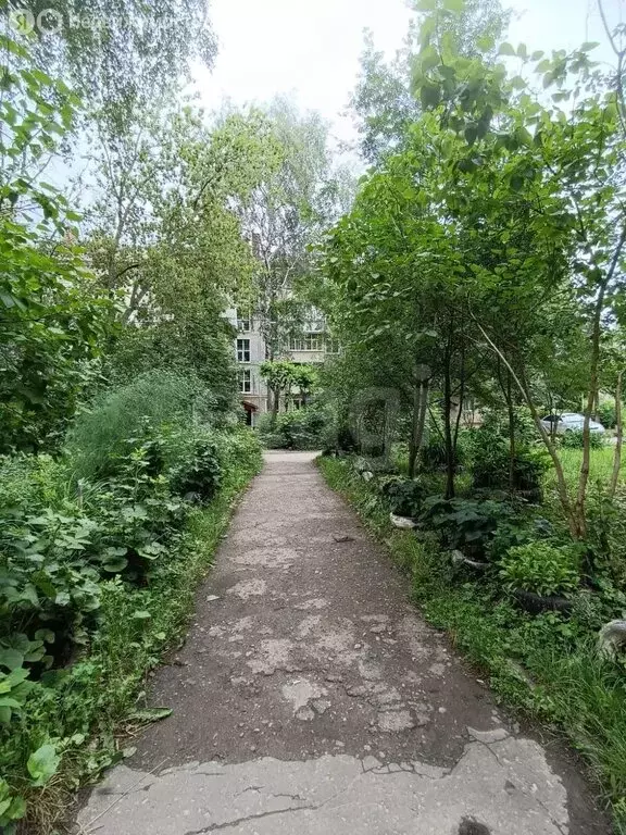 1-комнатная квартира: Йошкар-Ола, улица Анциферова, 37 (23.2 м) - Фото 0