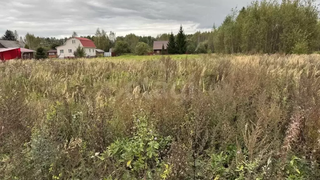 Участок в Московская область, Егорьевск муниципальный округ, д. ... - Фото 1