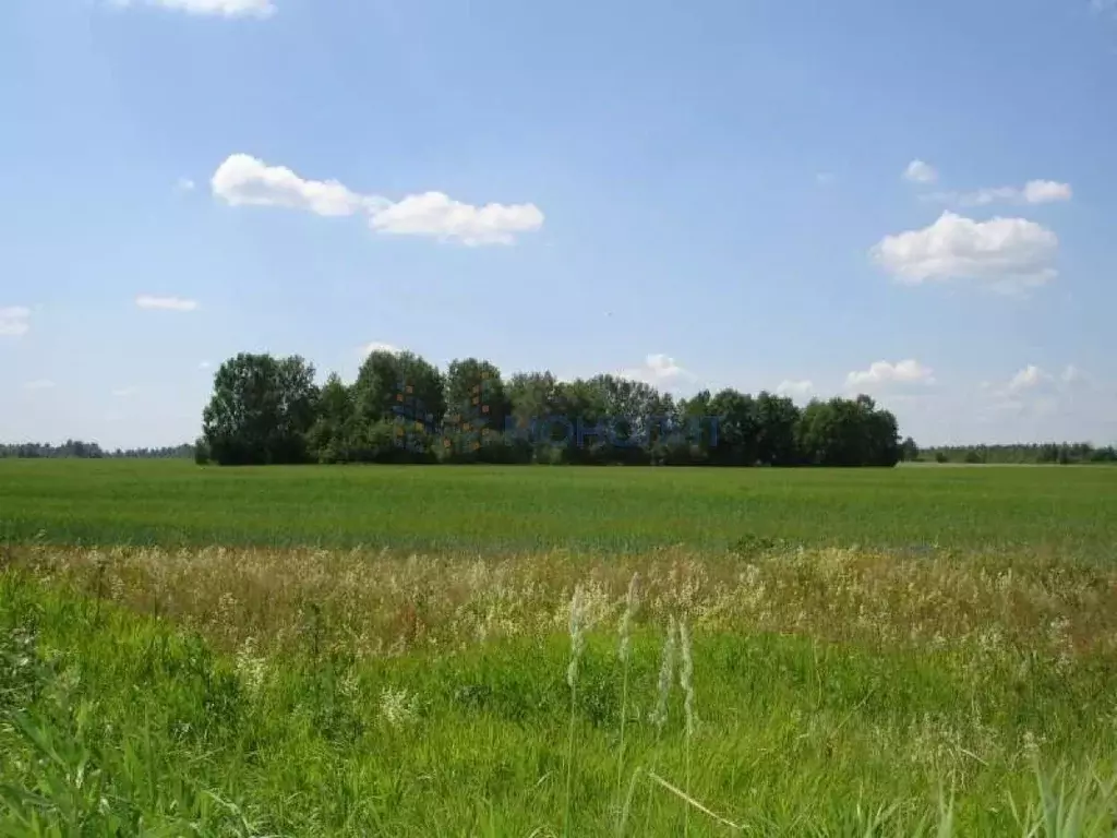 Участок в Нижегородская область, Богородский муниципальный округ, д. ... - Фото 2