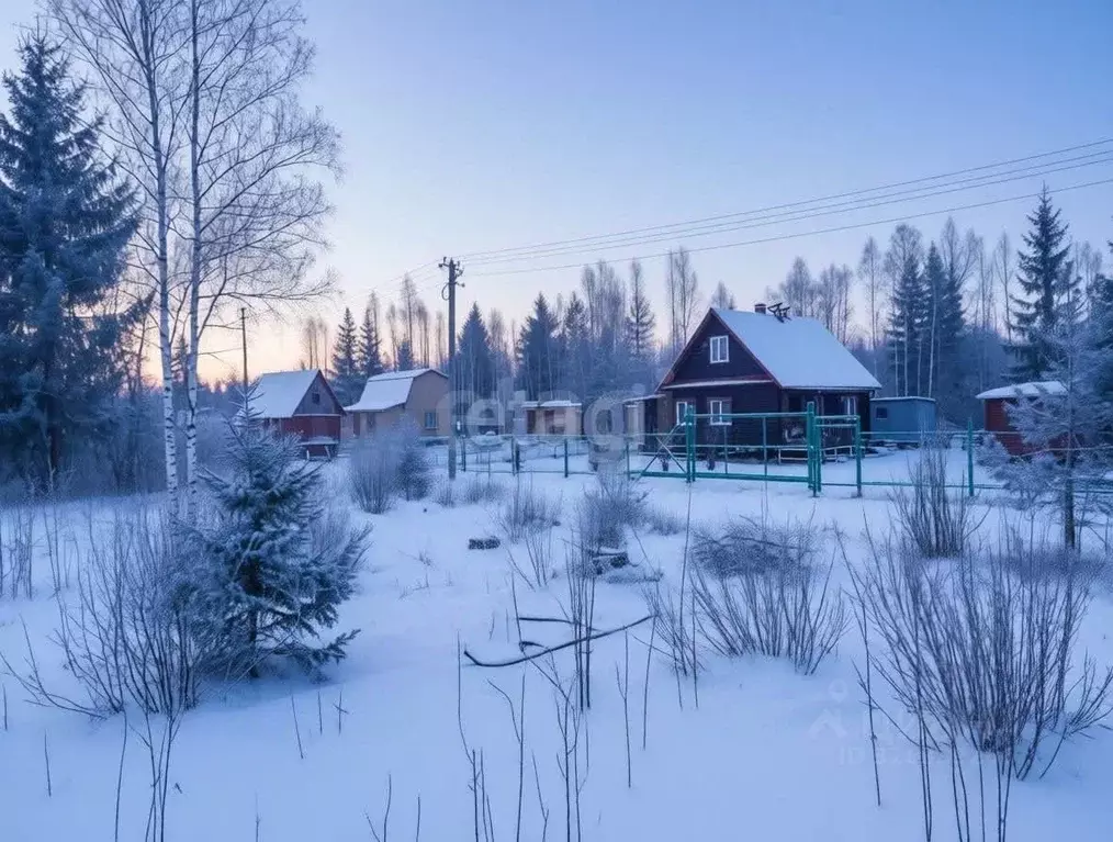 Участок в Ленинградская область, Киришский район, Кусинское с/пос, ... - Фото 2