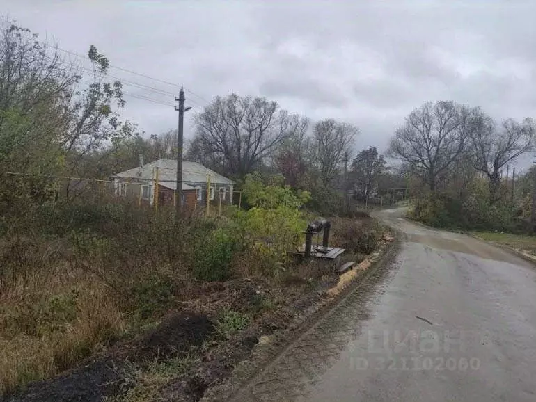 Дом в Воронежская область, с. Каширское ул. 3-го Интернационала, 6 (59 ... - Фото 1