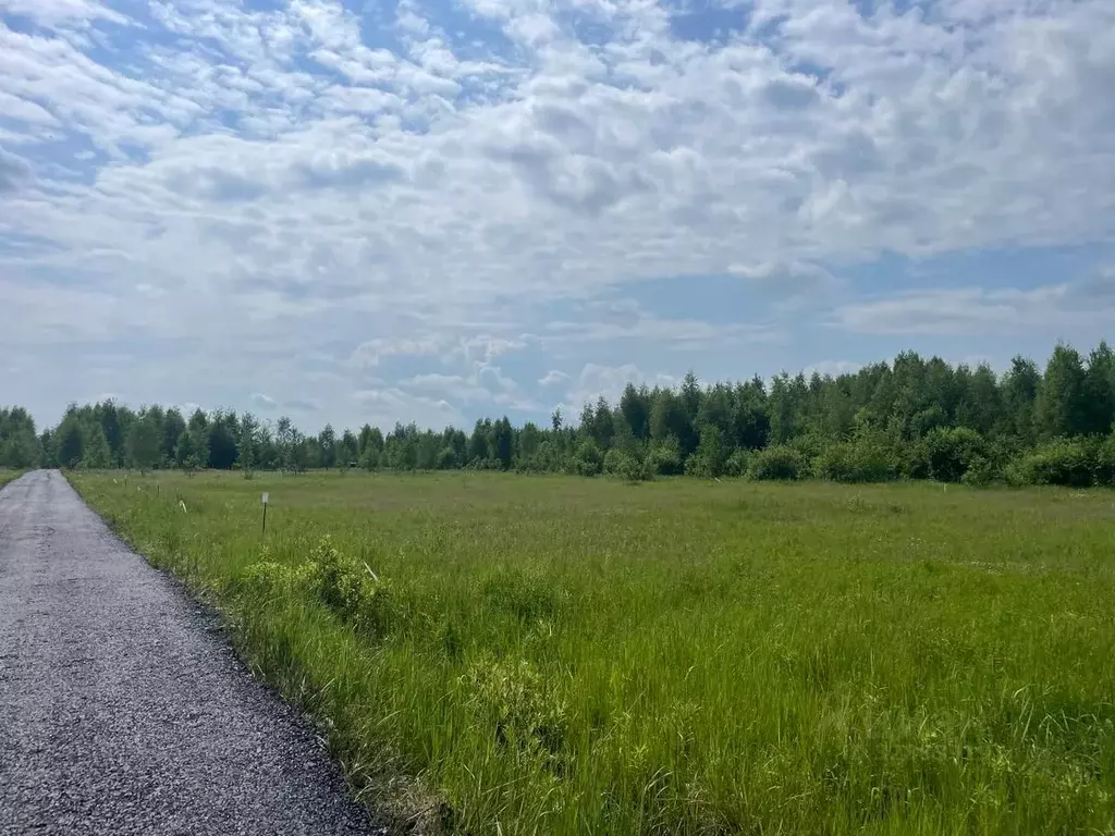 Участок в Московская область, Раменский муниципальный округ, с. ... - Фото 2