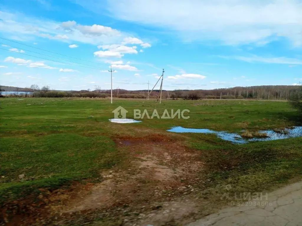 Участок в Нижегородская область, Богородский муниципальный округ, д. ... - Фото 2