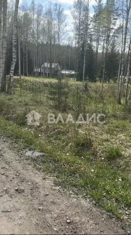 Участок в Ленинградская область, Всеволожский район, Юкковское с/пос, ... - Фото 1