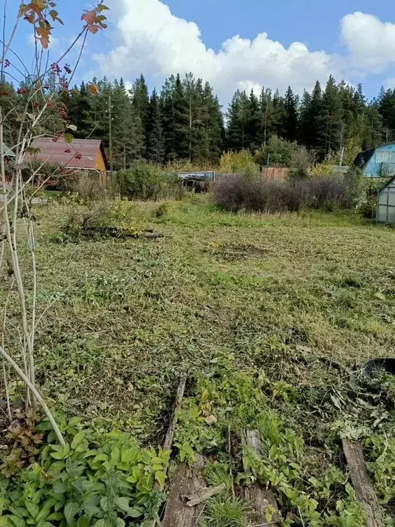 Участок в Свердловская область, Ревда Восток СОТ,  (6.0 сот.) - Фото 1