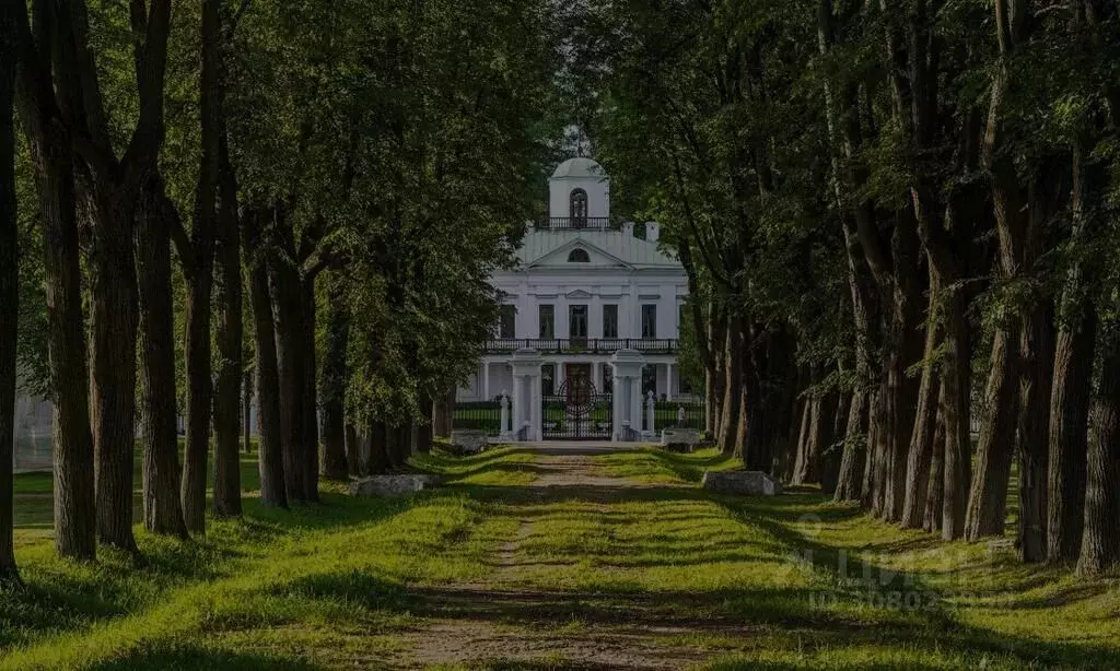 Комната Московская область, Можайский городской округ, д. Горетово ул. ... - Фото 0