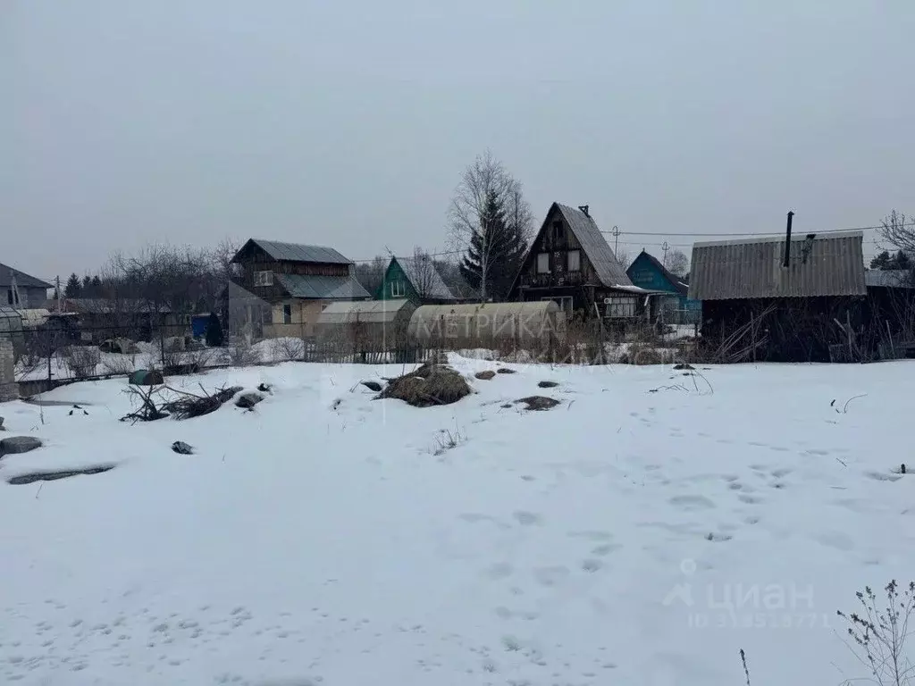 Участок в Тюменская область, Тюмень Электрон СНТ, ул. Серебряная, 31 ... - Фото 0
