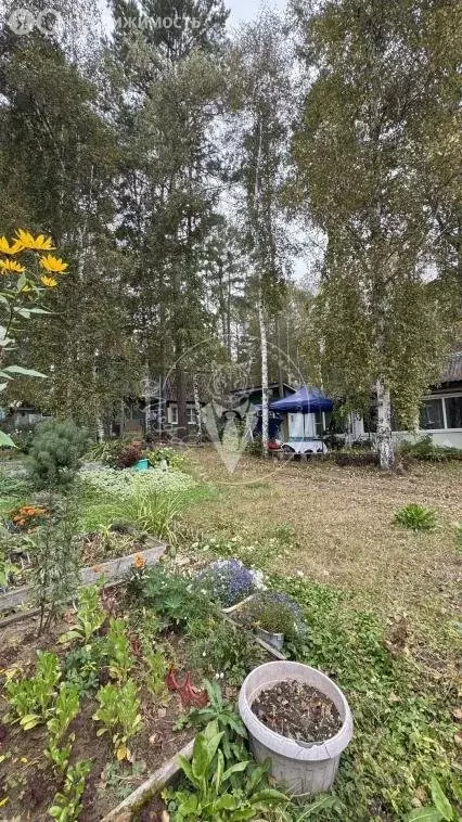 Участок в Иркутский муниципальный округ, посёлок Патроны (12 м) - Фото 2