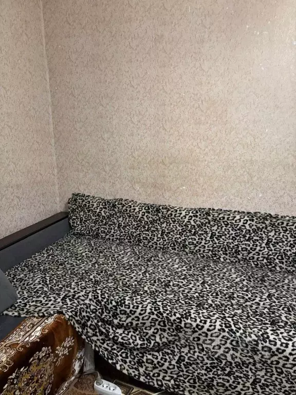 Комната Татарстан, Зеленодольск ул. Чапаева, 1 (29.0 м) - Фото 2