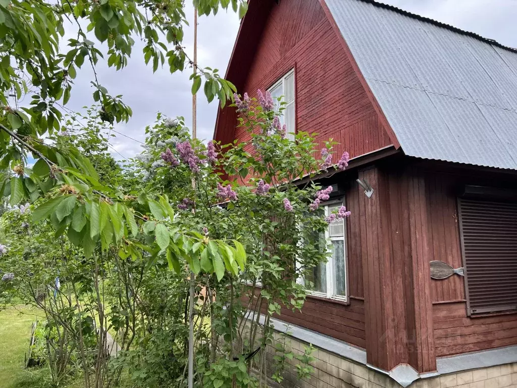 Дом в Московская область, Богородский городской округ, Лира СНТ 11 (68 ... - Фото 1