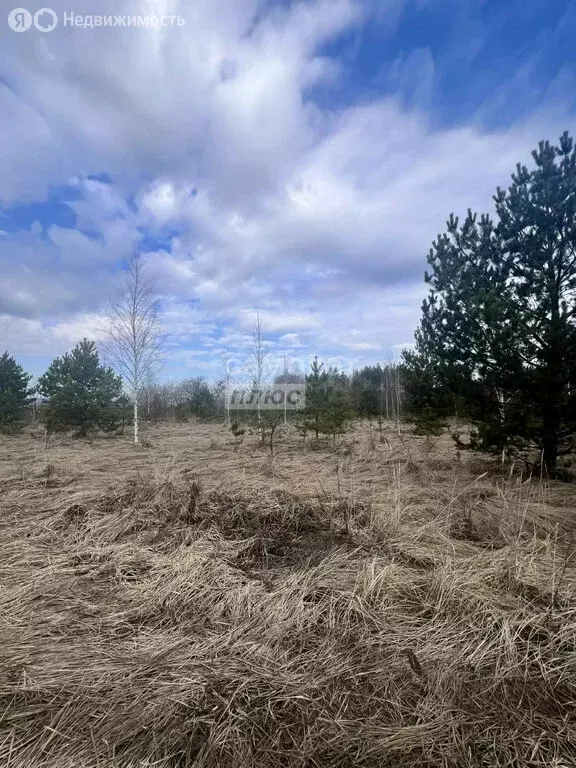 Участок в Липецкая область, Задонский муниципальный округ, село Казино ... - Фото 1