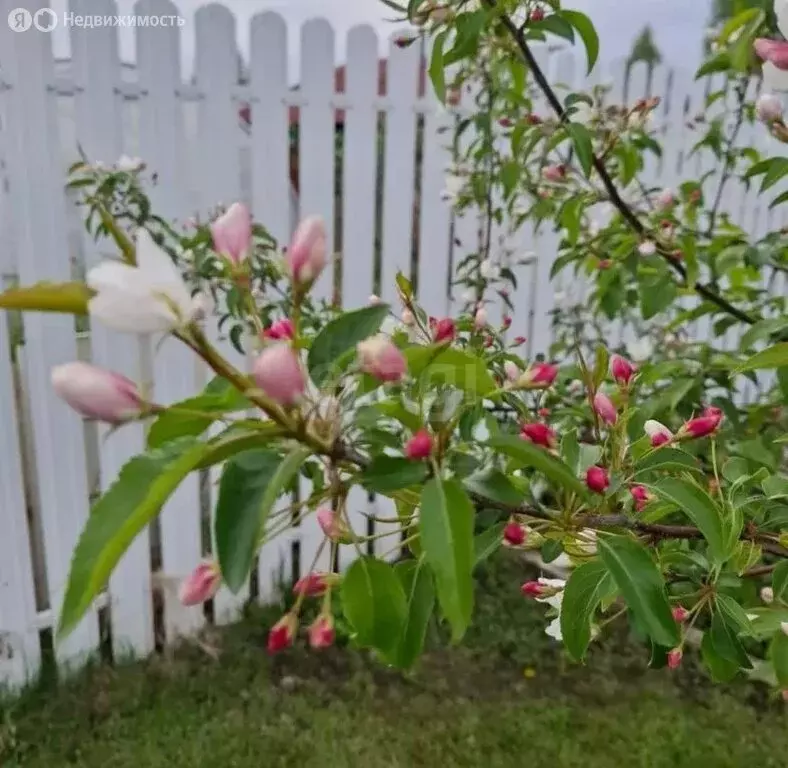 Участок в Новосибирск, садовое товарищество Надежда (9.4 м) - Фото 2