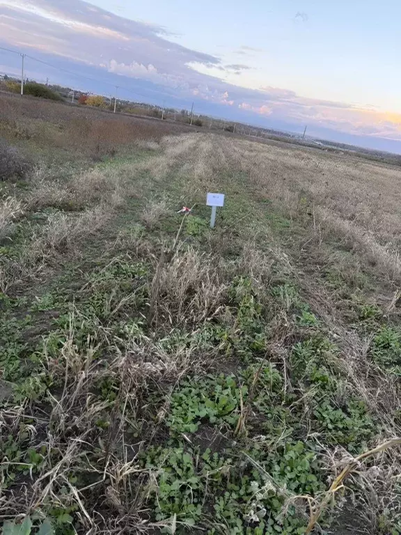 Участок в Краснодарский край, Анапа муниципальный округ, пос. ... - Фото 1