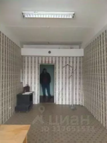 Помещение свободного назначения в Самарская область, Тольятти ул. ... - Фото 1