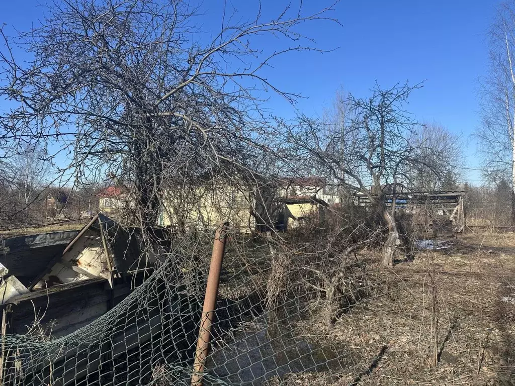Участок в Санкт-Петербург Педиатр СНТ, 5-я линия, 3с1 (6.62 сот.) - Фото 2