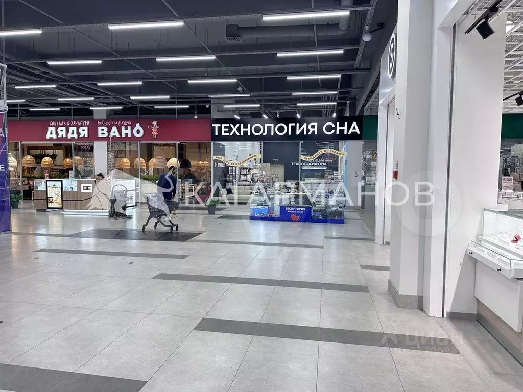 Помещение свободного назначения в Новосибирская область, Новосибирск ... - Фото 1