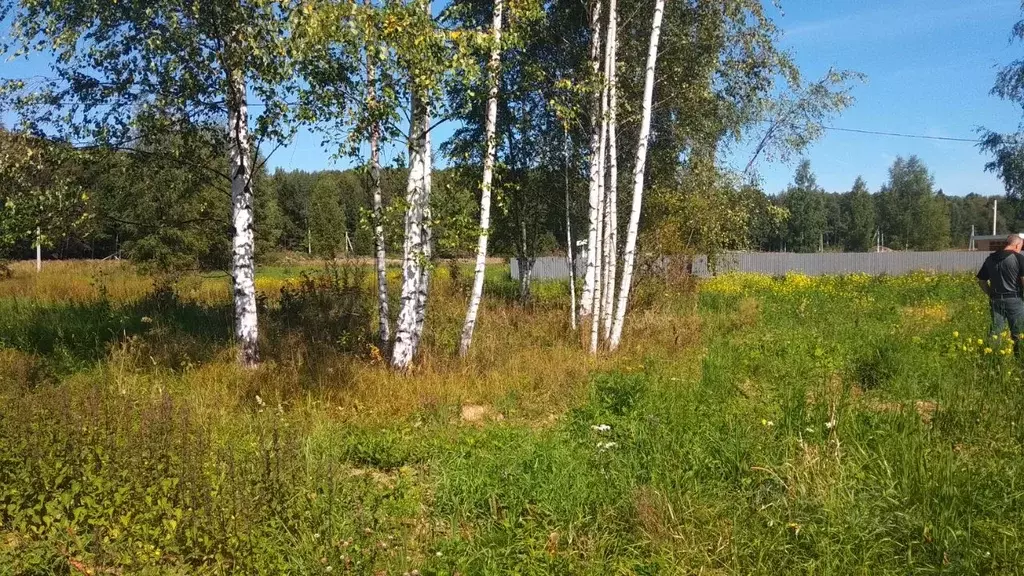 Участок в Ярославская область, Ярославский район, Кузнечихинское ... - Фото 0