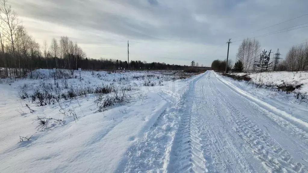 Участок в Пермский край, Пермский муниципальный округ, д. Ермозы  (7.1 ... - Фото 2