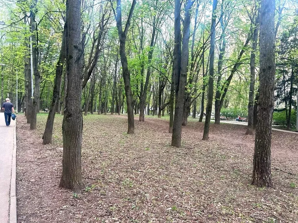 2-к кв. Москва Давыдковская ул., 14к2 (52.0 м) - Фото 2