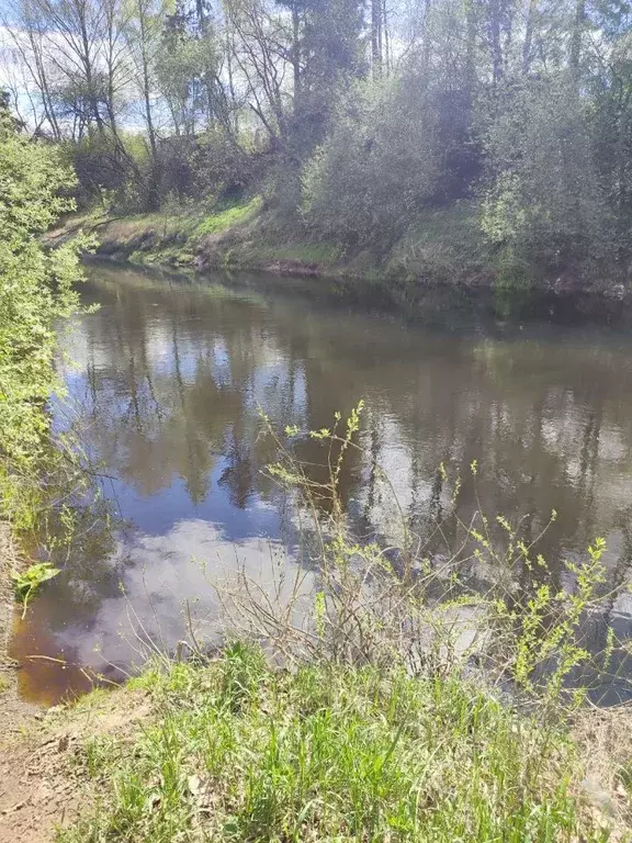 Дом в Псковская область, Псковский район, Карамышевская волость, Кебь ... - Фото 2