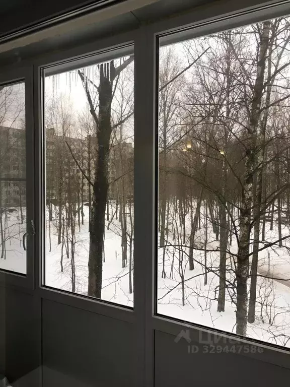 1-к кв. Ленинградская область, Тихвин 1-й мкр, 21 (30.3 м) - Фото 1