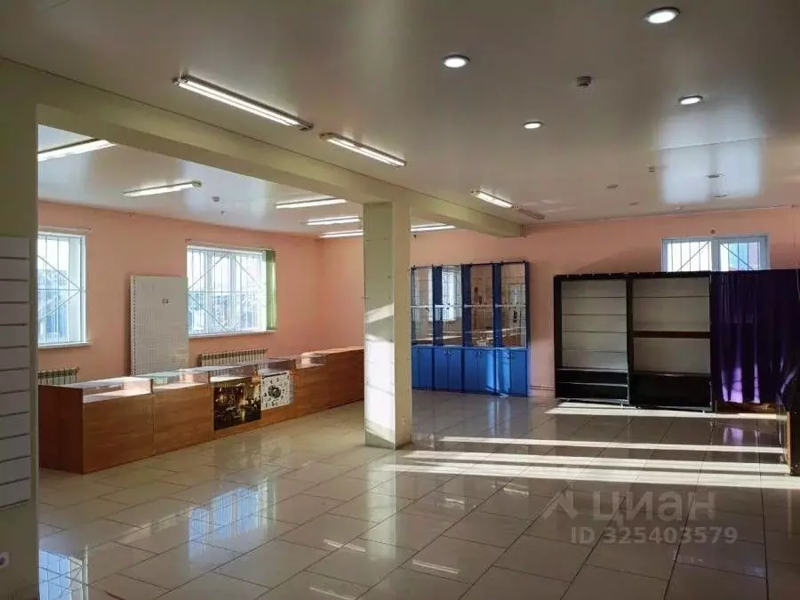 Дом в Воронежская область, Воронеж ул. Никитина, 87 (160 м) - Фото 1