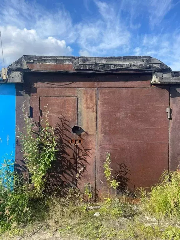 Помещение свободного назначения в Ямало-Ненецкий АО, Губкинский  (20 ... - Фото 0