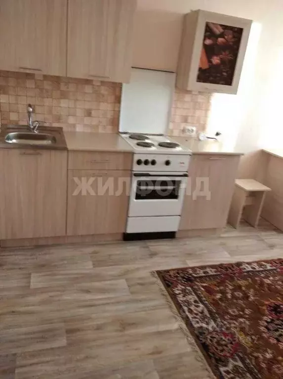 Студия Новосибирская область, Новосибирск ул. Кирова, 242 (26.0 м) - Фото 0