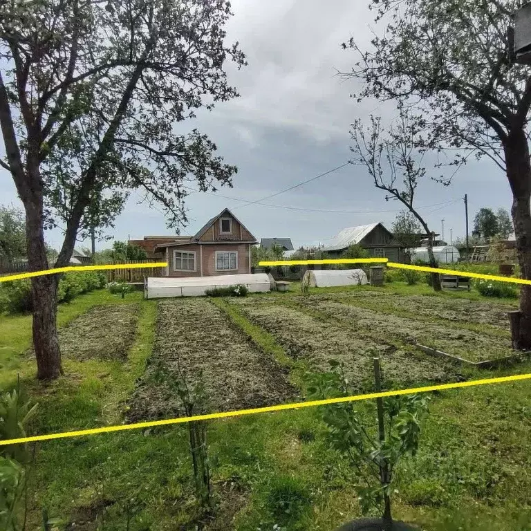 Дом в Вологодская область, Вологда Черемушки-3 садоводческое ... - Фото 2