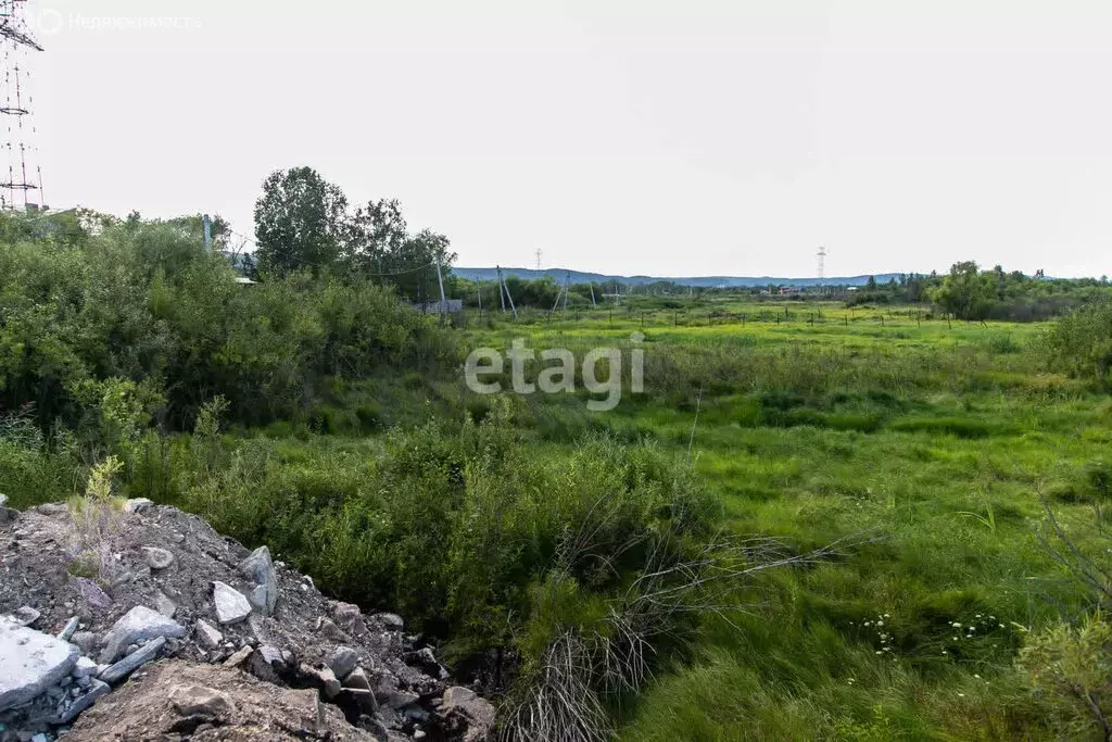 Участок в Амурская область, Благовещенский муниципальный округ, село ... - Фото 1