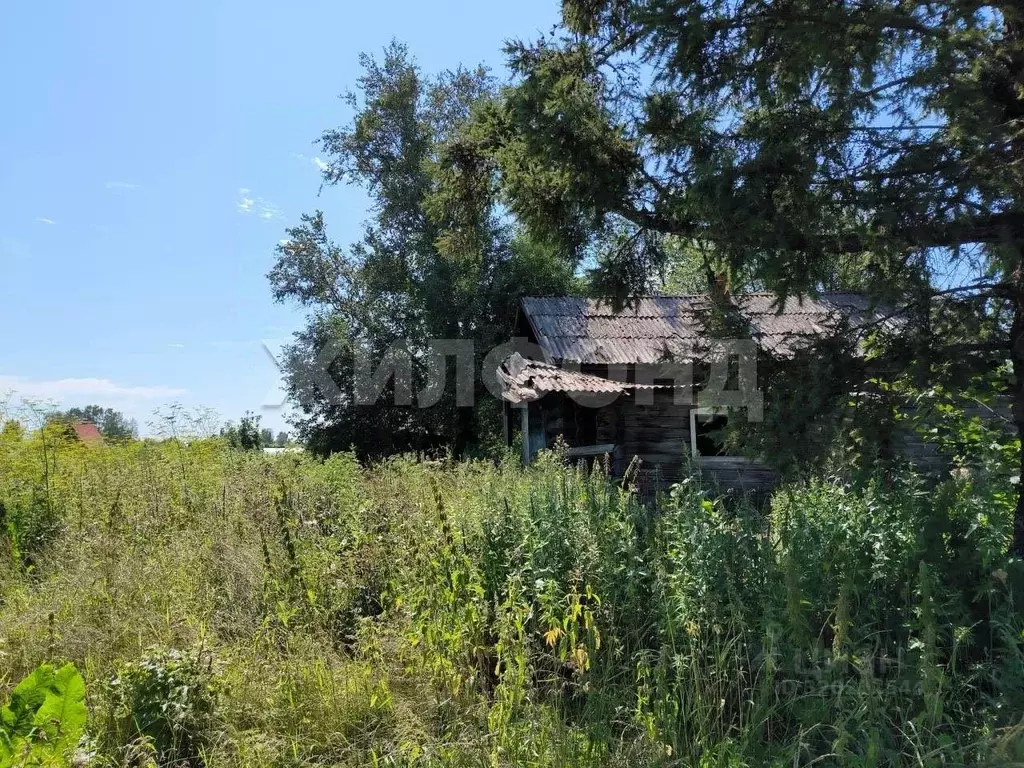 Дом в Новосибирская область, Тогучинский район, д. Калаганово ... - Фото 1