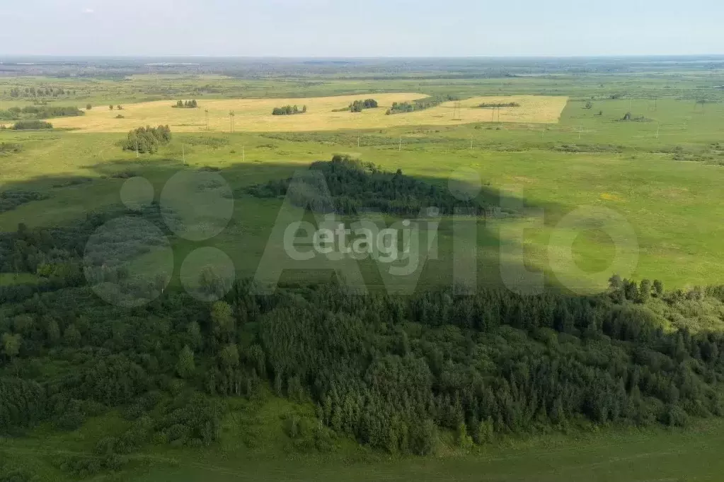 Участок 6,6 сот. (ИЖС) - Фото 0