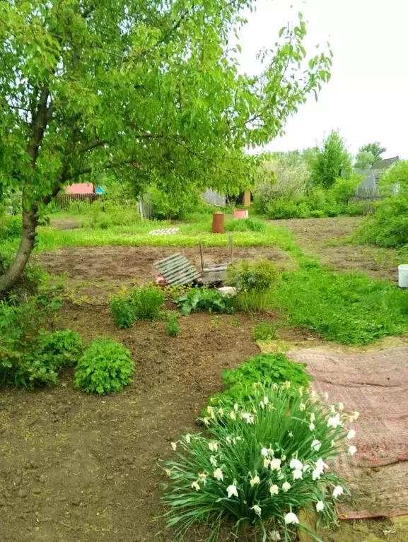 Дом в Башкортостан, Уфимский район, Кирилловский сельсовет, Ромашка СТ ... - Фото 1