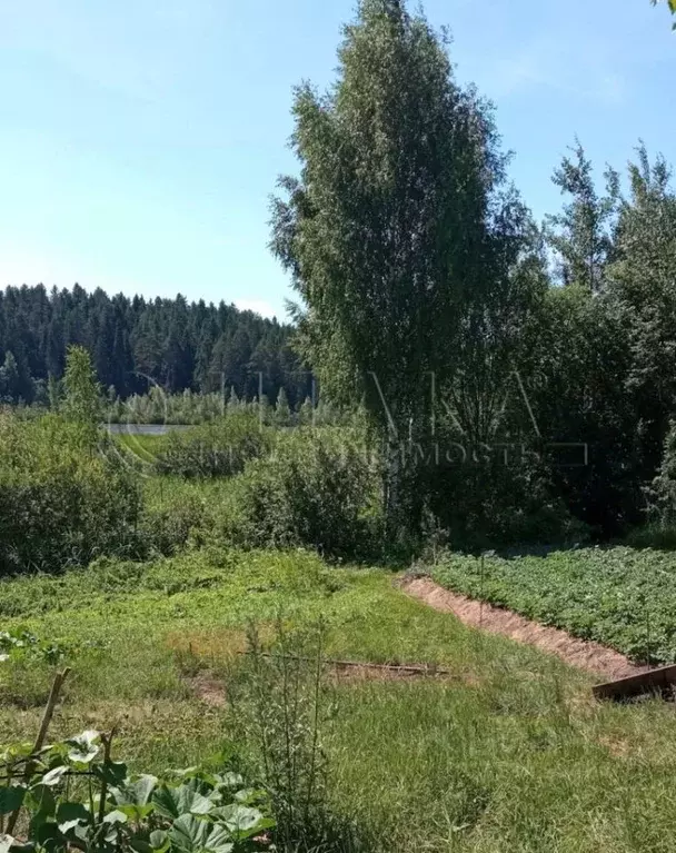 Участок в Ленинградская область, Бокситогорский район, Ефимовское ... - Фото 1