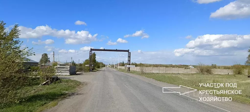 Участок в Челябинская область, Агаповский район, Желтинское с/пос  ... - Фото 1