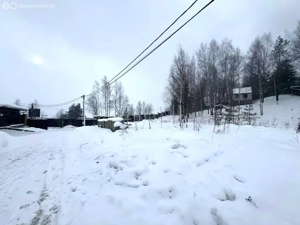 Участок в деревня Порошкино, Рябиновая улица (12 м) - Фото 2