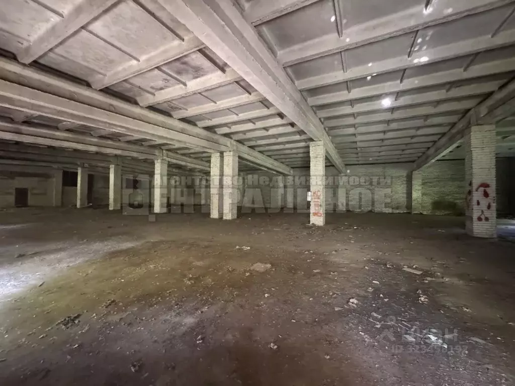 Помещение свободного назначения в Смоленская область, Починковский ... - Фото 1