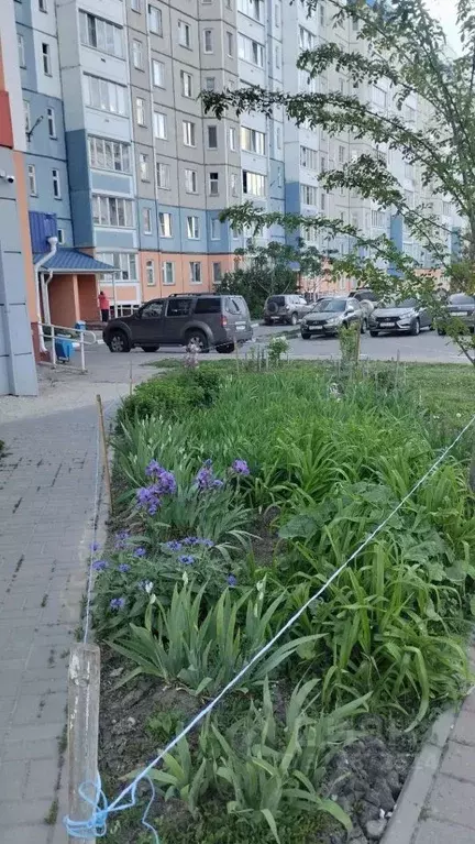 2-к кв. Орловская область, Орел ул. Емлютина, 14 (49.0 м) - Фото 1