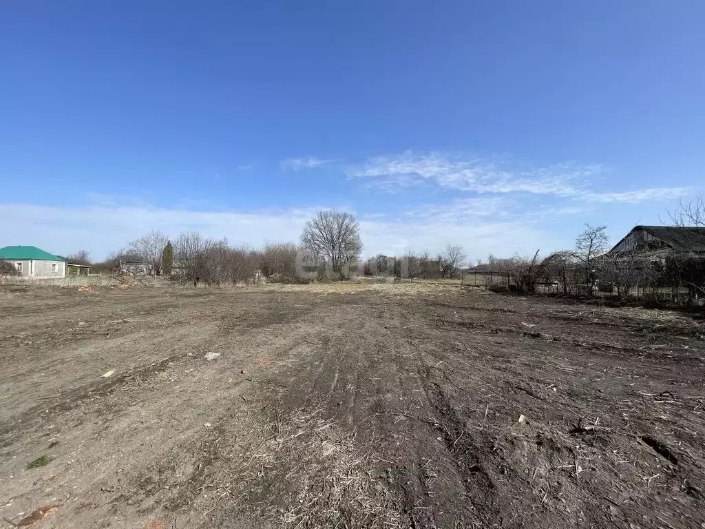 Участок в Воронежская область, Новоусманский район, ... - Фото 0