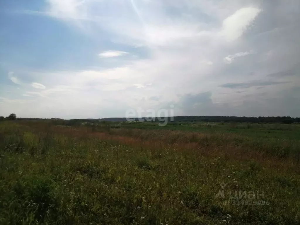 Участок в Владимирская область, Меленковский муниципальный округ, с. ... - Фото 1