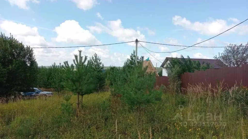 Участок в Нижегородская область, Богородский муниципальный округ, ... - Фото 2