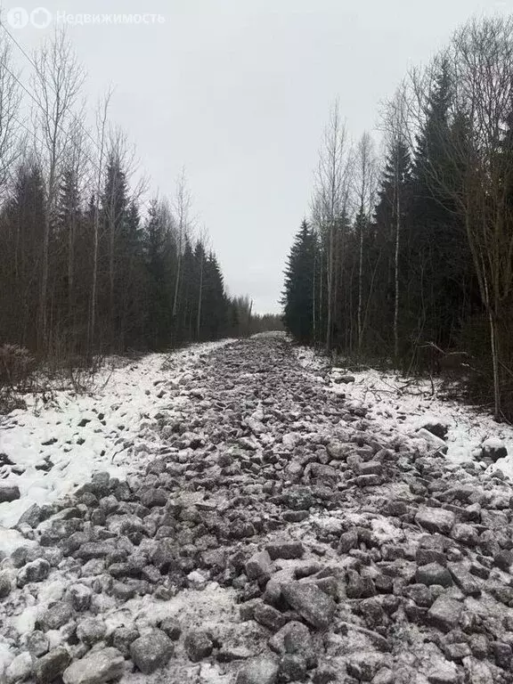 Участок в Ленинградская область, Гатчинский муниципальный округ, ... - Фото 1