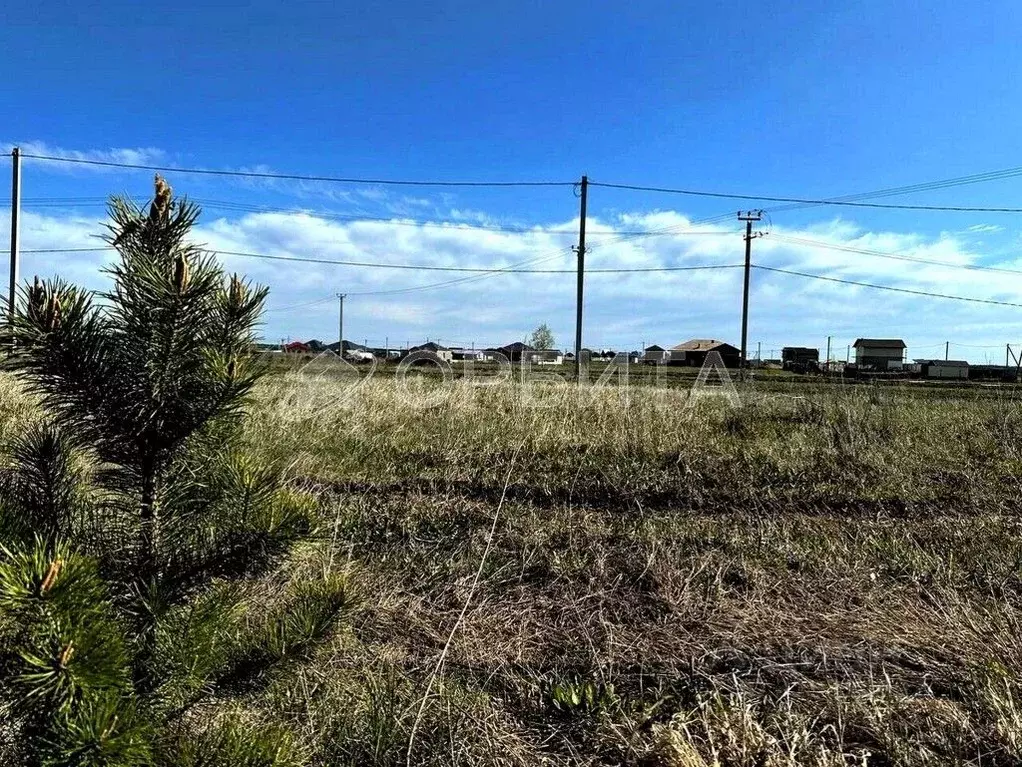 Участок в Тюменская область, Тюменский район, д. Елань 14 (8.0 сот.) - Фото 1