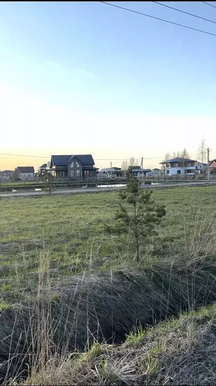 Участок в Ленинградская область, Тосненский район, Федоровское ... - Фото 0