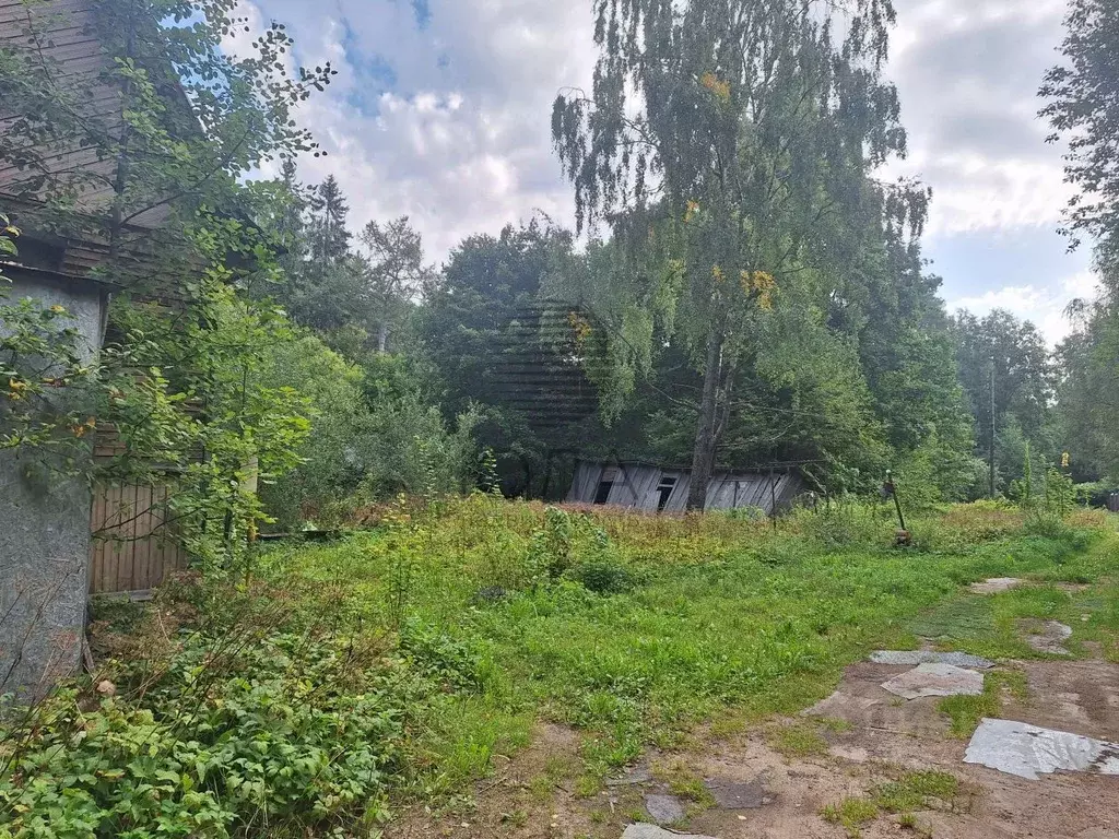 Участок в Санкт-Петербург, Санкт-Петербург, Зеленогорск ул. Восстания, ... - Фото 1