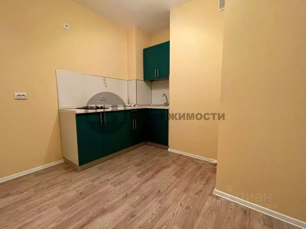 1-к кв. Санкт-Петербург Пискаревский просп., 145к3 (29.6 м) - Фото 2