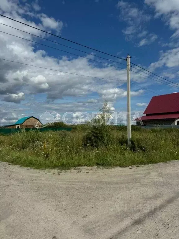 Участок в Тюменская область, Тюменский район, с. Борки ул. Луговая ... - Фото 1